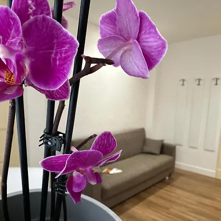 Giardino Della Giganza Bed & Breakfast Catania