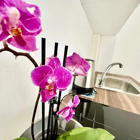 Bed & Breakfast Giardino Della Giganza *